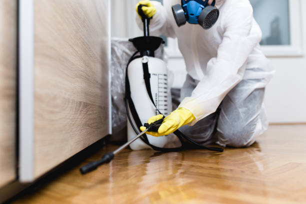 Best Wasp Removal Services  in Terrace Park, OH