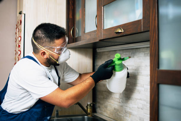  Terrace Park, OH Pest Control Pros