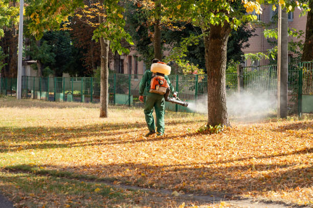 Best Best Pest Control Companies  in Terrace Park, OH