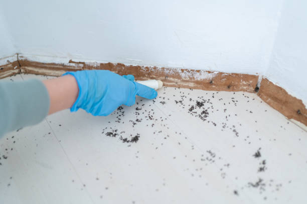 Reliable Terrace Park, OH Pest Control Solutions