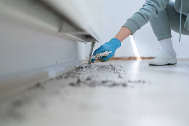 Best Wasp Removal Services  in Terrace Park, OH